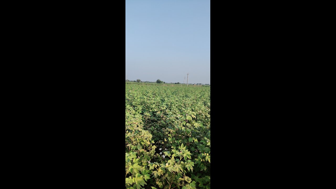 _#FARMING_TIME_PART05_#