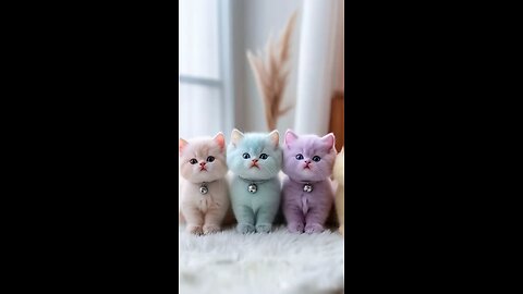 Baby kitten😻🥰 #cat #kitten #funny #cute #love #dance #trending #viralshort #shorts #short #comedy