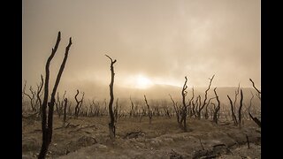 S05 E19 - I saw the Brown Man down my hallway. Night Vision Filming