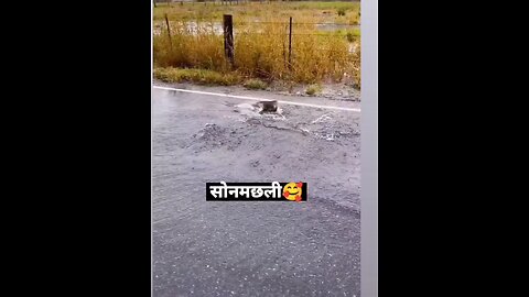 ​#Funny #Comedy #Laugh #Memes #Jokes