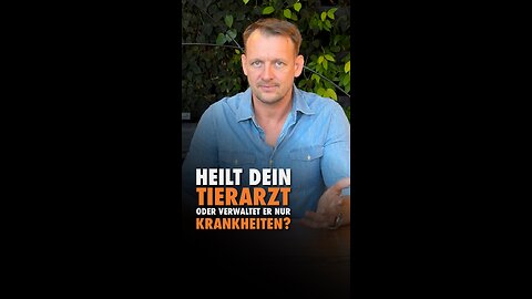 🤔🐶 Heilt Dein Tierarzt oder verwaltet er nur Krankheiten?
