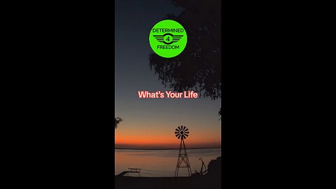 What's Your Life...