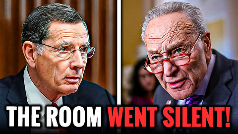 Chuck Schumer PANICS As Republican Senator EXPOSES His Double Standards