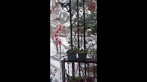 THE 2 TYPES OF PEOPLE