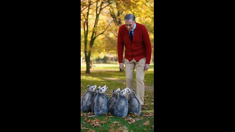Mr. Rogers scares possums