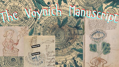 Voynich Manuscript: Decoded?!?