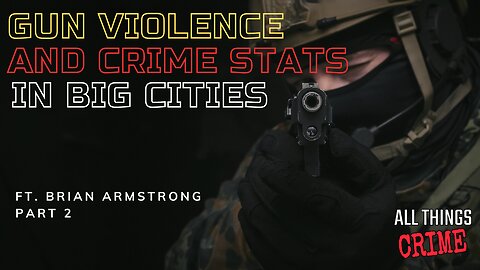 Gun Violence And Crime Stats in Big Cities - Ft. Brian Armstrong Part 2