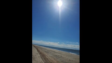 Edisto Beach South Carolina