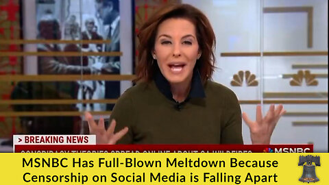 MSNBC Has Full-Blown Meltdown Because Censorship on Social Media is Falling Apart