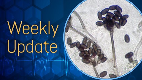 Rehab 2: Benzodiazepines, Kratom, Marijuana, and Toxic Mold Reexposure