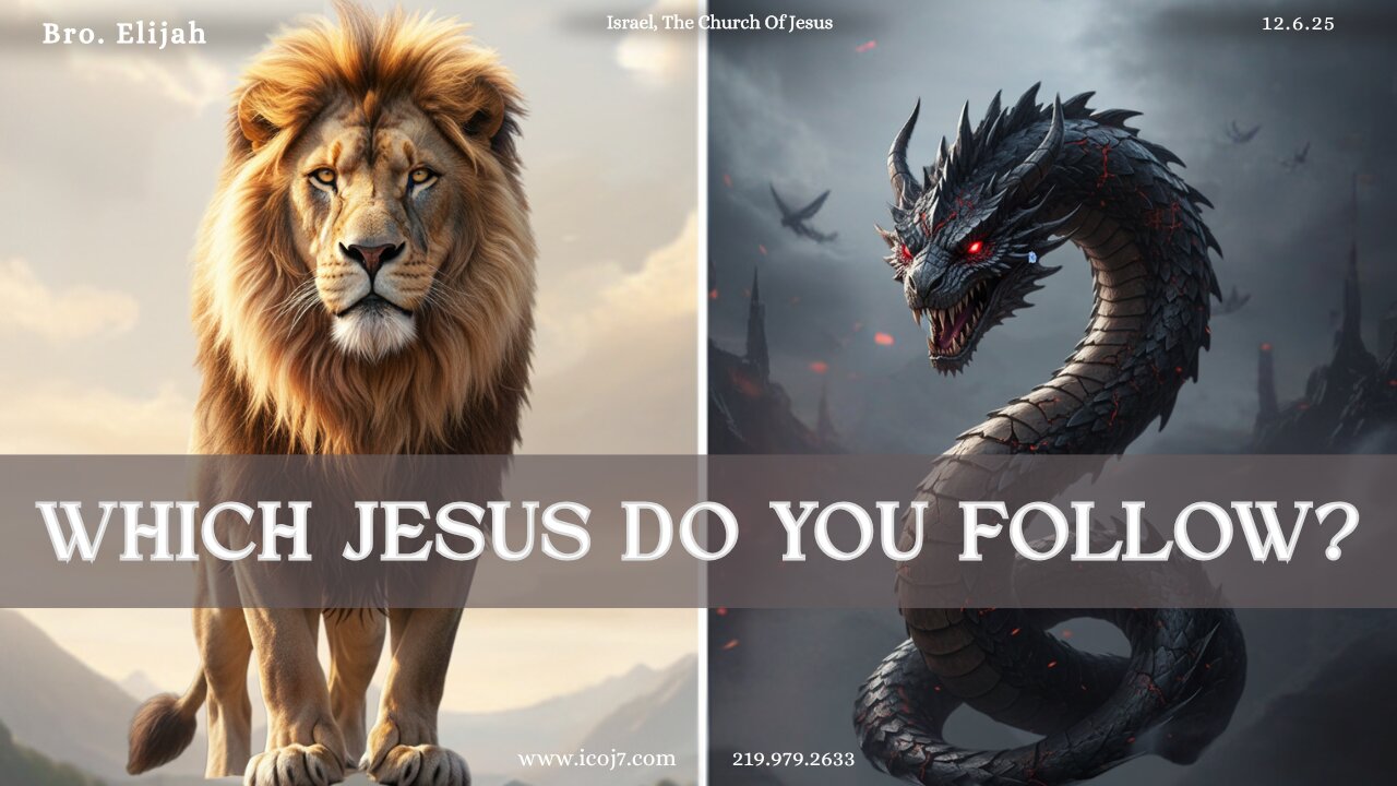WHICH JESUS DO YOU FOLLOW?