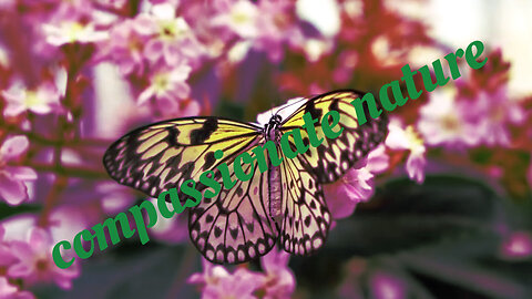 compassionate nature