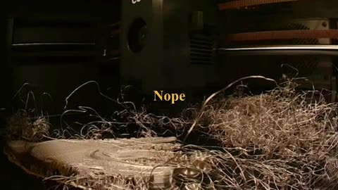 When 3D Printing Goes Wrong