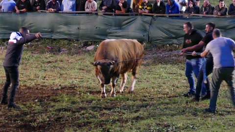 Pero od Radanovića vs Zekonja od Zube Šestanovac 2025
