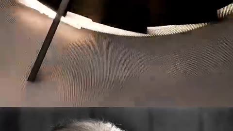 plan safety trending video popular video 📸 viral