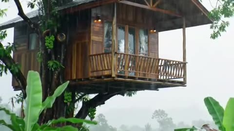 . Why We Moved Into a Treehouse (And You Should Too!)