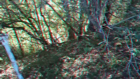 Seil weg Runter in 3D