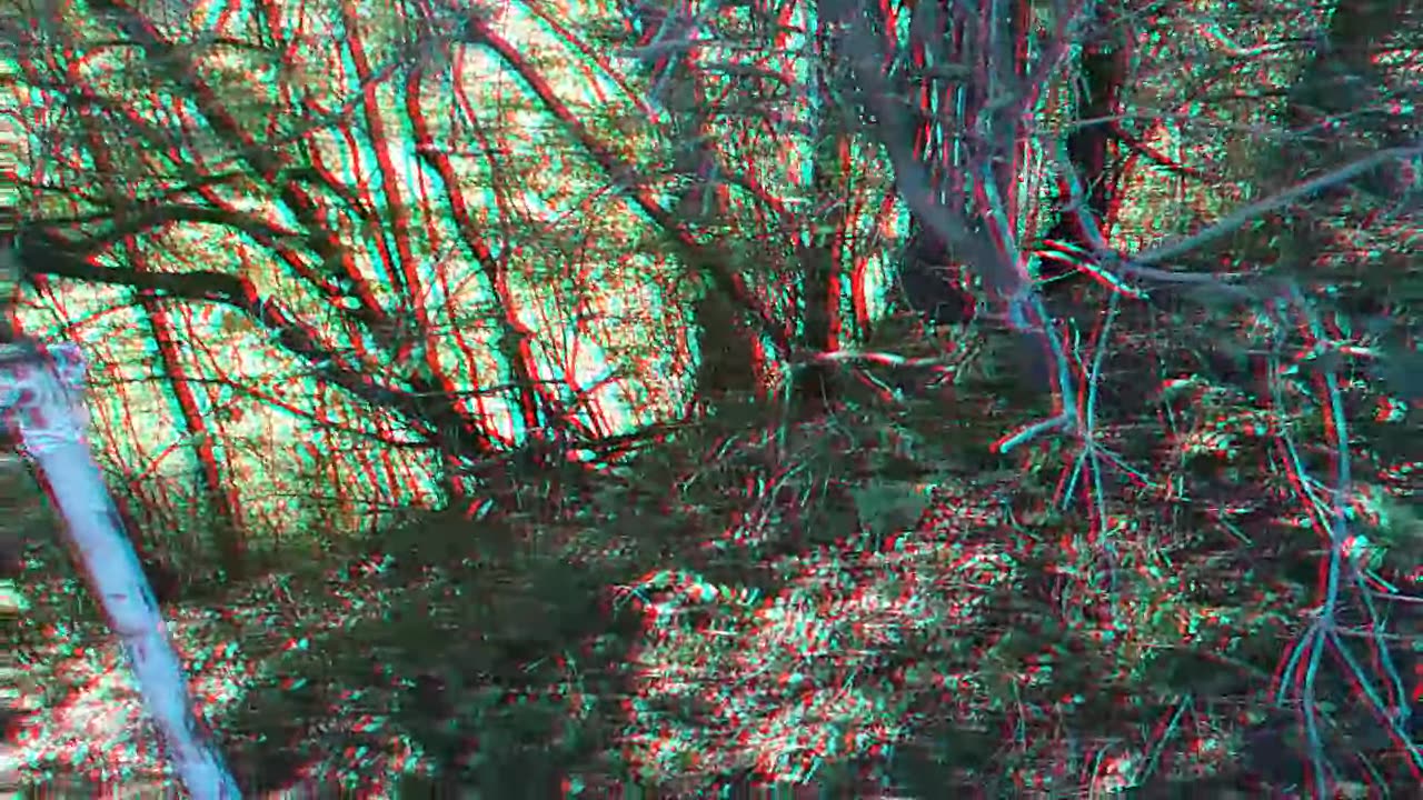 Seil weg Runter in 3D