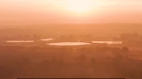 Daily Horoscope | Leo 🌟