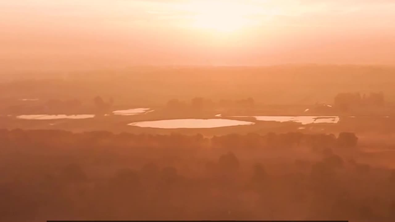 Daily Horoscope | Leo 🌟