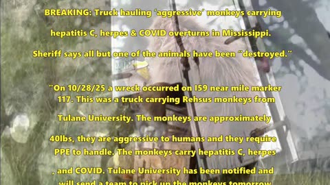 ABADDON & World Events-Do you see yet? by Jon, James, Rachael, Dana, Avva, Julie