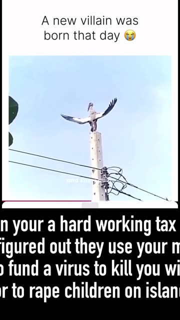 The breaks of a tax payer