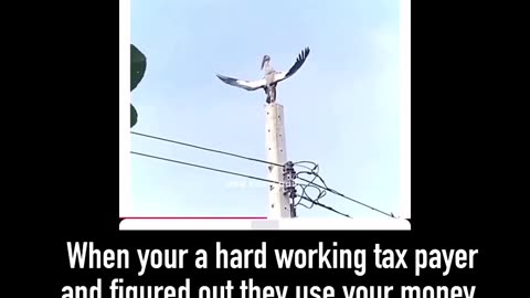 The breaks of a tax payer