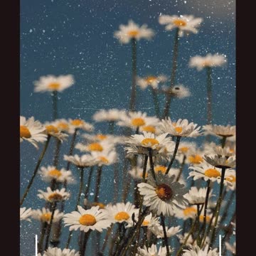 “5 Seconds of Action Beats 5 Hours of Thinking.”