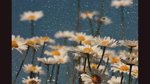 “5 Seconds of Action Beats 5 Hours of Thinking.”