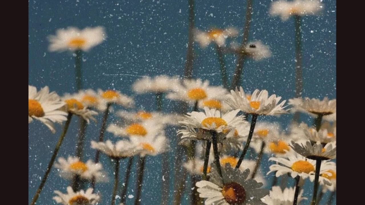 “5 Seconds of Action Beats 5 Hours of Thinking.”