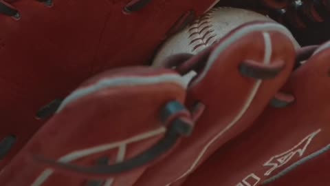 A Slice of Baseball Ambience