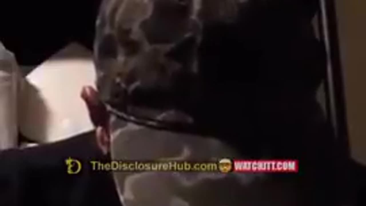 The government can project voices into your head (V2K)