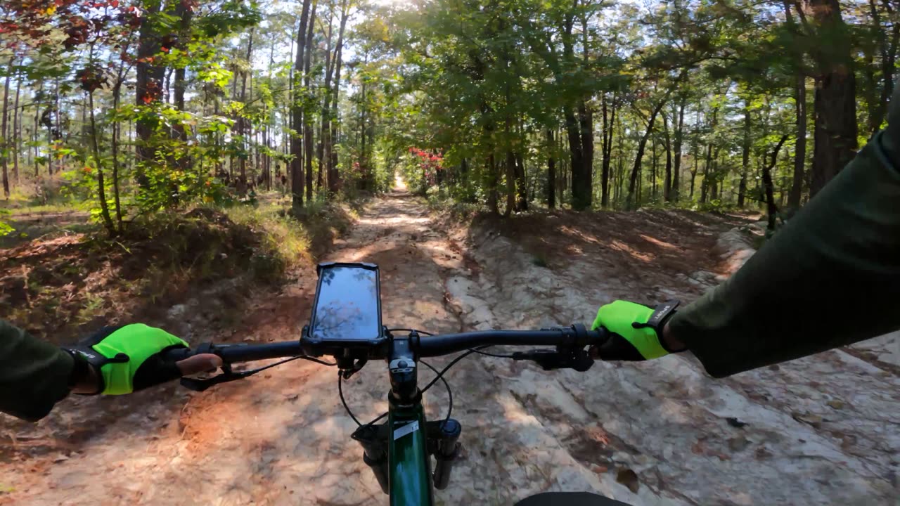 Downhill Lost In The Woods - 6