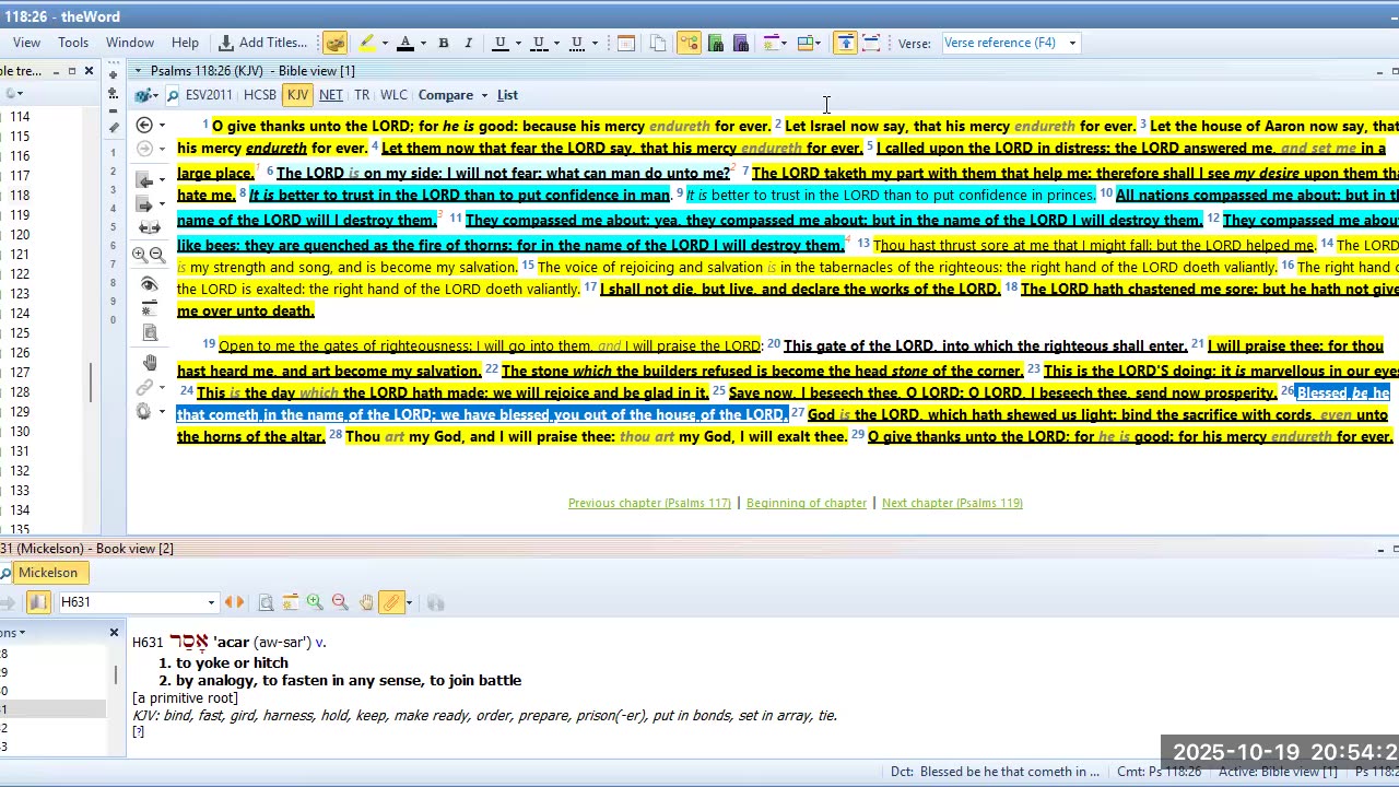 Bible Study Psalms 118