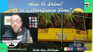 Rise ‘N Shine! It's Marijuana Time! Wake ‘N Bake Show Ep 327 October 4, 2025
