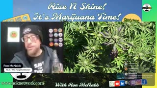 Rise ‘N Shine! It's Marijuana Time! Wake ‘N Bake Show Ep 327 October 4, 2025