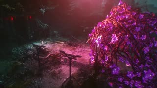 Eclipse of Illusion Episode 15 Preview
