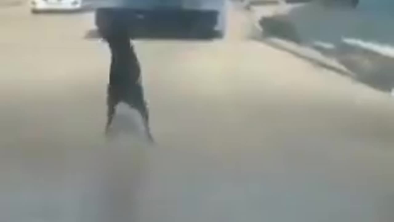 Pure happiness..🐶😅