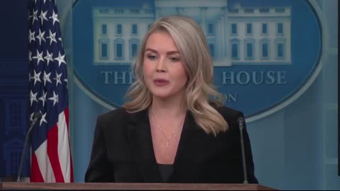 Karoline Leavitt schools the press on seditious behavior by Dems telling military to DISOBEY orders