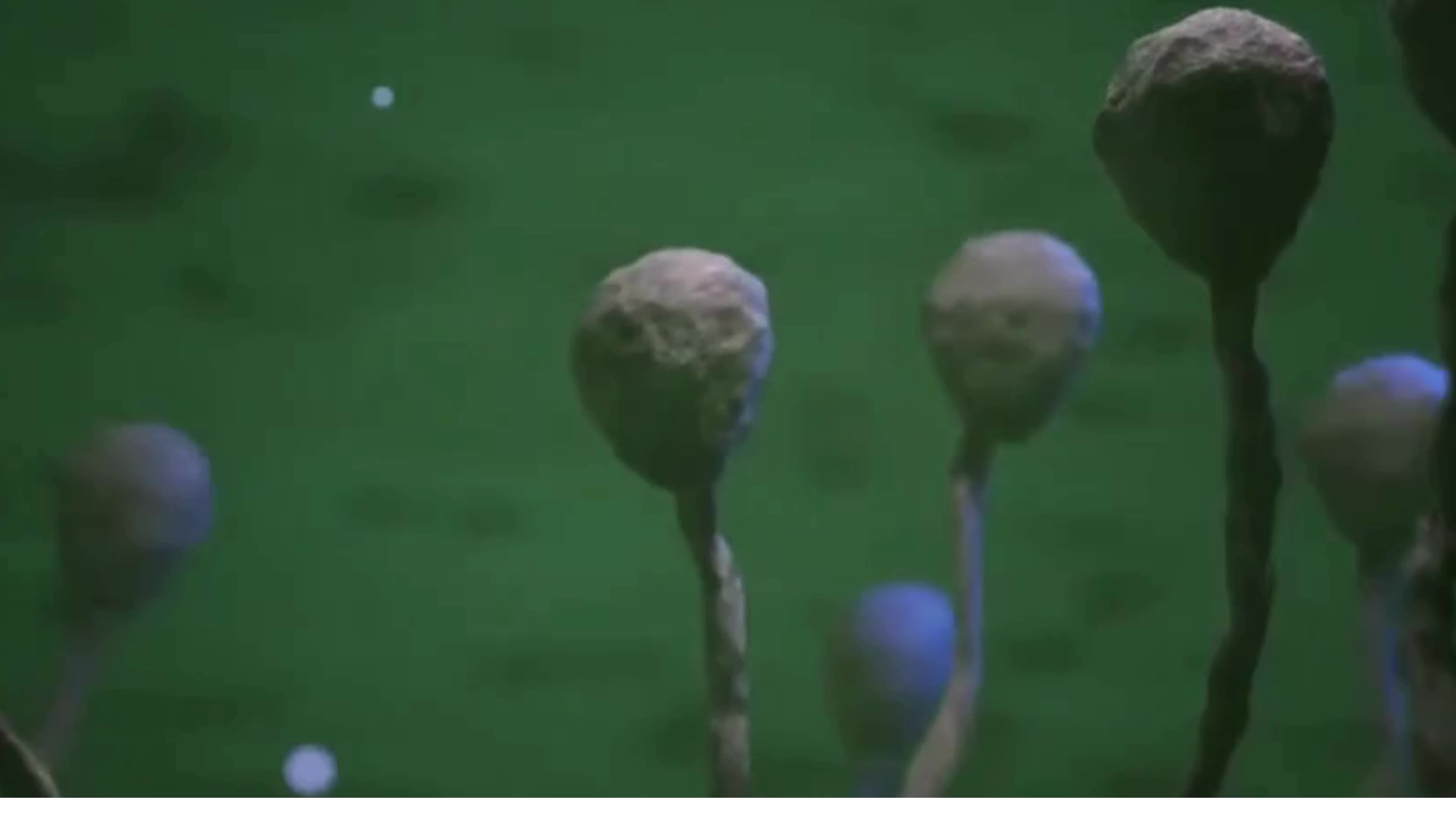 Parasitic Mind Control – The Queen Of Paracitoids - Symbiotic Hijacking Of Host Autonomy - Part 1