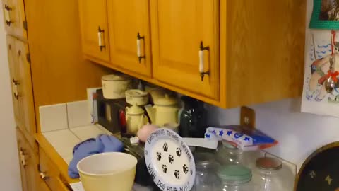 fatty demon pig - 2025 - YT - USA - November 11th or November 10th in USA part 003