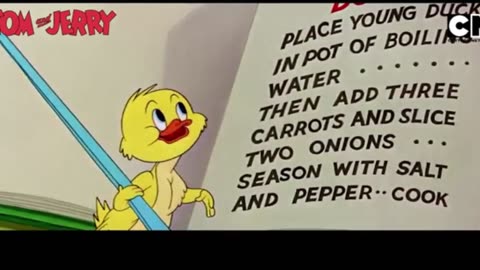 Tom & Jerry #tomandjerry Funny Cartoon video