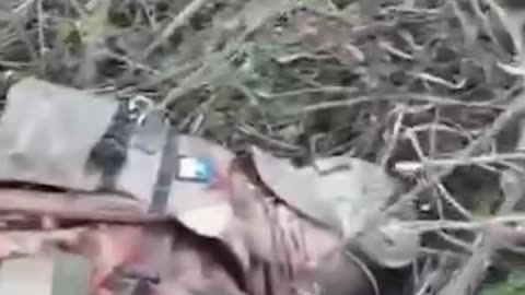 Ukraine war combat footage 11/9/25