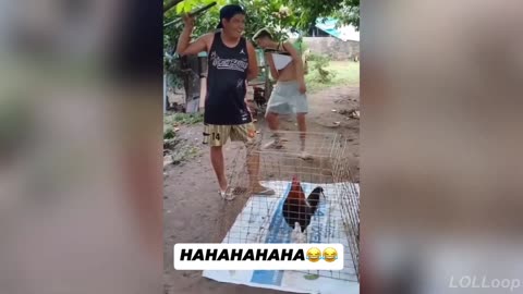 You Won’t Last 30 Seconds Watching These Videos 😂