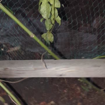 Halloween decorations Part 3D: The "Control center"