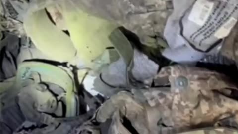 A pig den in the Pokrovsky direction