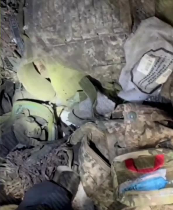 A pig den in the Pokrovsky direction