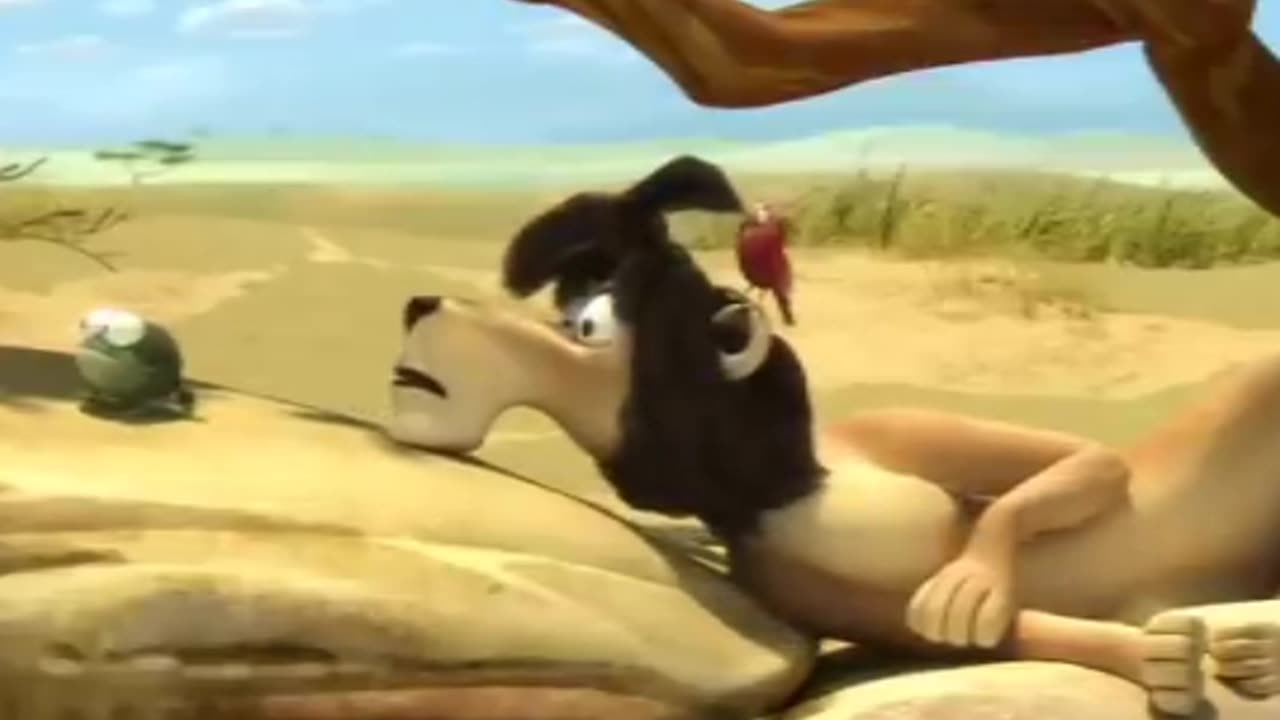 Lion Funny video 🦁🦁🦁🦁🦁🦁😂😂😂😂😂😂😂😂😂😂😂😂😂😂 #viral #trending #explorepage #explore