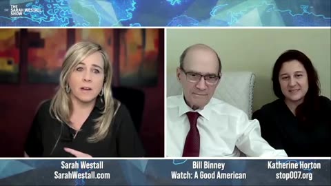 Epstein Palantir Intel Ops | NSA Whistleblower Bill Binney & Dr Katherine Ho