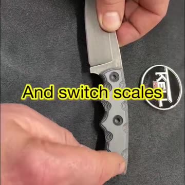 Damn Good EDC Blade💪🔪😱🙀This blade is the s___ #shorts #youtubeshorts #shortsvideo